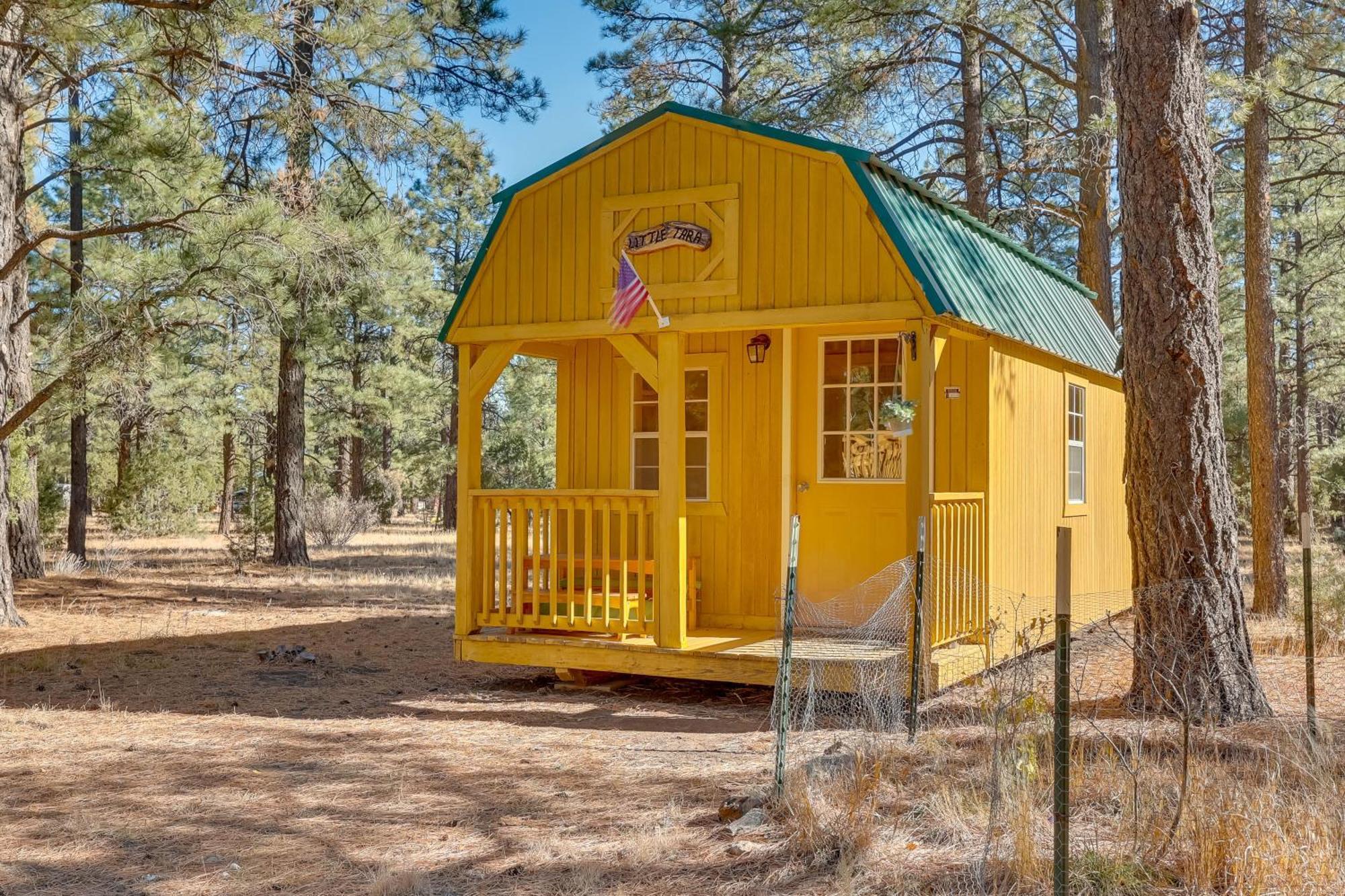 Dog-Friendly Nutrioso Cabin With Wraparound Porch! Ngoại thất bức ảnh
